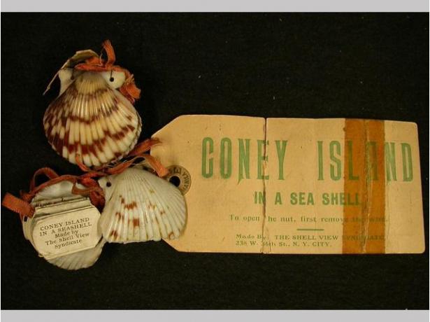 Souvenir, 1920-1950. Seashell, paper. Gift of Bella C. Landauer, 2002.1.4776