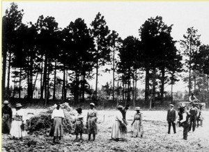 In the 1850's, black families came to the Adirondacks to farm.