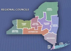 Regional Econmoic Councils
